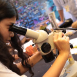 De florestas microscópicas à maior semente do mundo: a Semana Nacional de C&T no Jardim Botânico do Rio de Janeiro vai de 14 a 20 de outubro