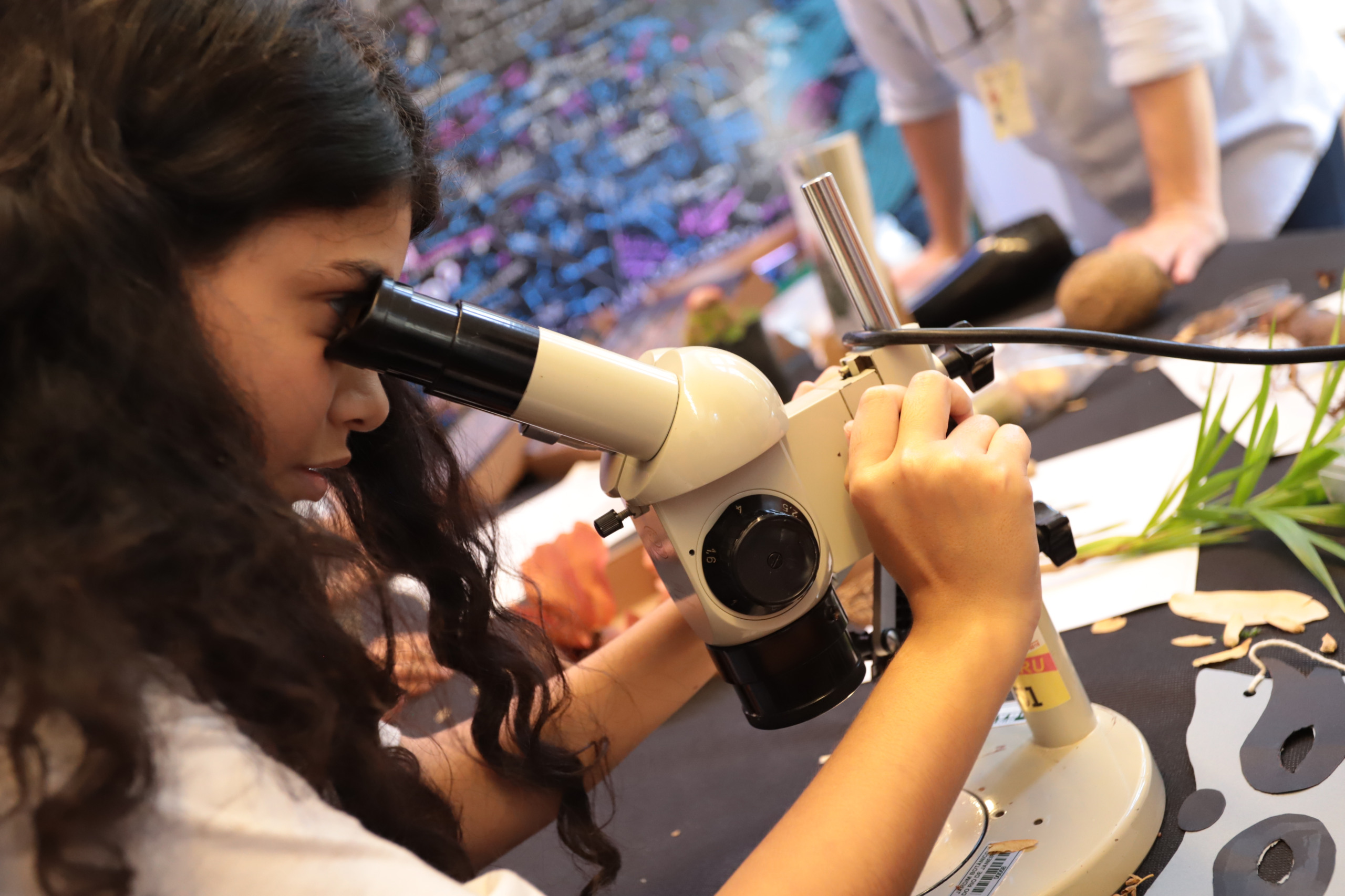 De florestas microscópicas à maior semente do mundo: a Semana Nacional de C&T no Jardim Botânico do Rio de Janeiro vai de 14 a 20 de outubro