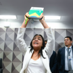 Eliziane Gama - Foto: Agência Senado