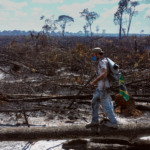 Rio Mountain Festival, no CCBB, destaca filmes sobre crise climática, inclusão e desigualdade de gênero