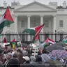 Manifestantes fazem protesto pela Palestina em frente à Casa Branca em 14 de outubro de 2023 em Washington, DC [Youtube]