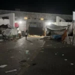 Cães de rua são vistos comendo corpos no Hospital al-Shifa, em Gaza