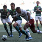 Fluminense é superado pelo Palmeiras fora de casa no Brasileirão