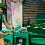 Daniel Erthal, ex-galã de Malhação, vende cerveja em Copacabana (RJ) - Foto: Reprodução