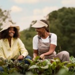 Conab, MDA e Incra debatem novos desafios para fortalecer agricultura familiar