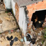 Moradores pedem resgate de 15 cães abandonados, após morte de tutor, no Complexo do Alemão