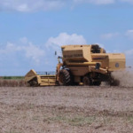 Maioria das cidades que investem no agronegócio cresceram nível de emprego Foto: Arquivo/Agência Brasil