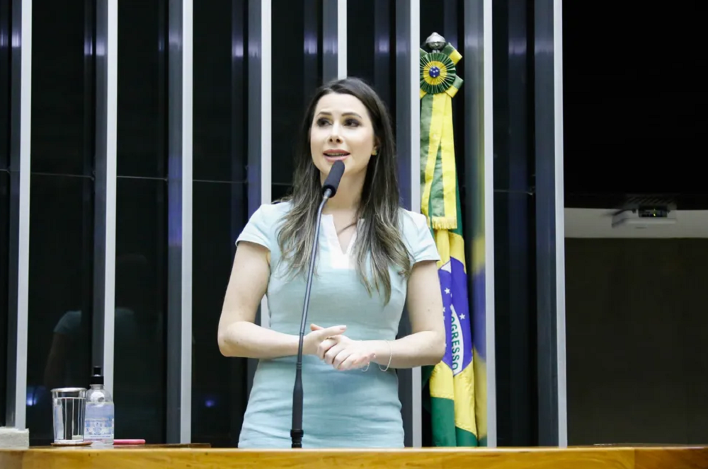 Carol de Toni (PL) no plenário da Câmara – Câmara dos Deputados/Divulgação