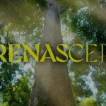 Renascer