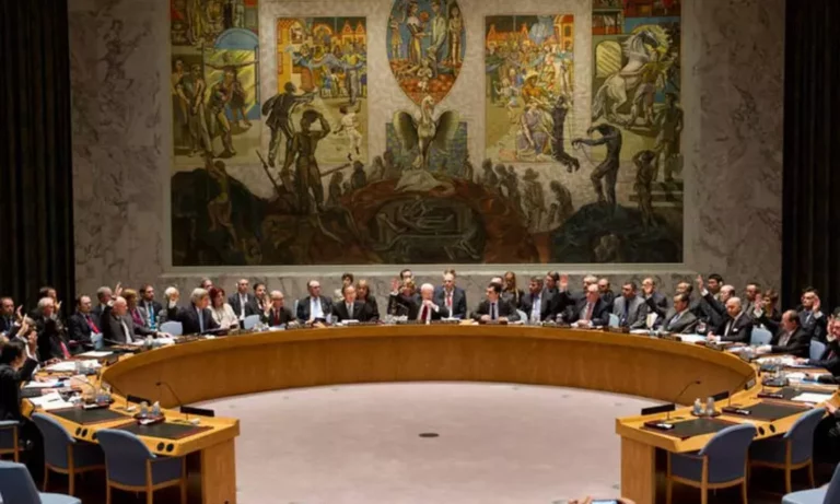 Conselho de Segurança da ONU. Reprodução