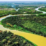 Imagem aérea do Pantanal: área é um dos patrimônios ambientais do Brasil e importante para o ecoturismo (Mayke Toscano/SECOM-MT/Divulgação)