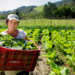 Mulheres no Brasil, culturalmente, são responsáveis por guardar e repassar a filhos e filhas os saberes ancestrais sobre alimentação e bem-estar familiar - Foto: Arquivo / MDA