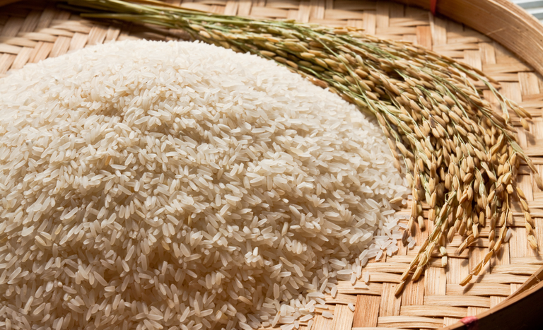 Governo Federal publica medida que autoriza importação de arroz