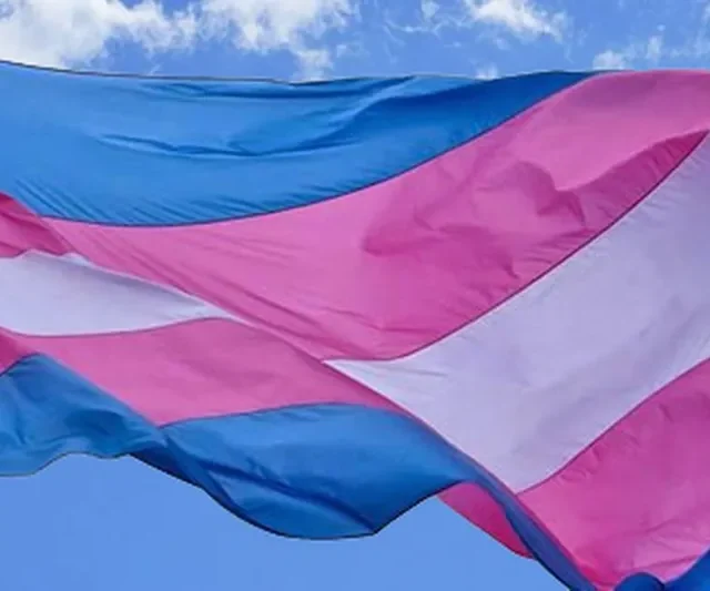 Bandeira trans. (Foto: Reprodução)