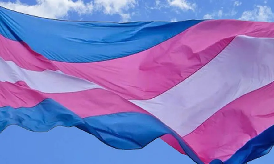 Bandeira trans. (Foto: Reprodução)