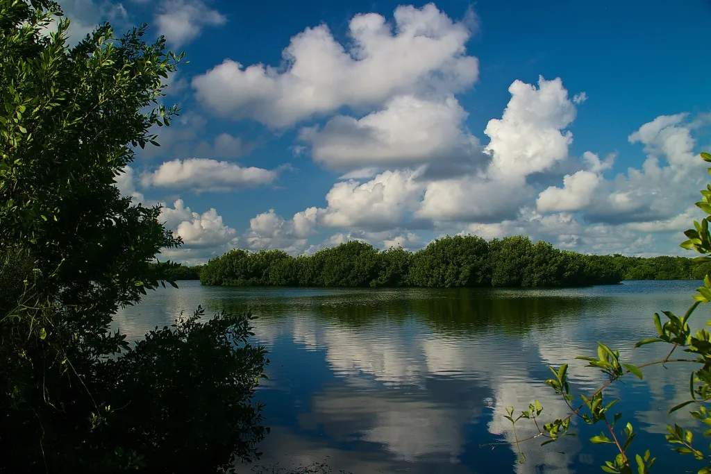 Parque Nacional dos Everglades, Florida Fonte: Wikimédia Commons
