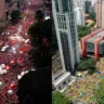 Manifestações de esquerda e de direita na Paulista, em São Paulo. Foto: reprodução