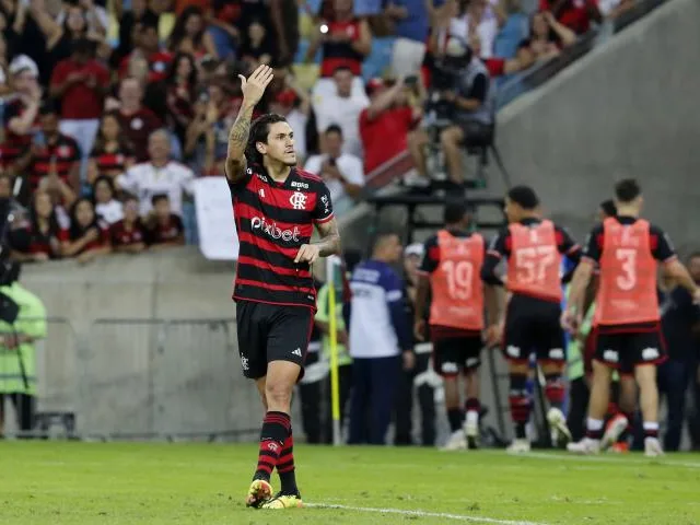 Pedro comemora o gol do triunfo rubro-negro (Crédito: Úrsula Nery/Agência FERJ)