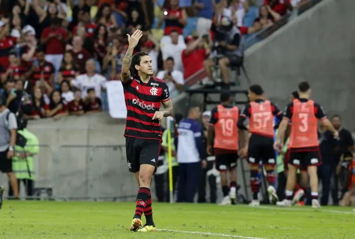 Pedro comemora o gol do triunfo rubro-negro (Crédito: Úrsula Nery/Agência FERJ)