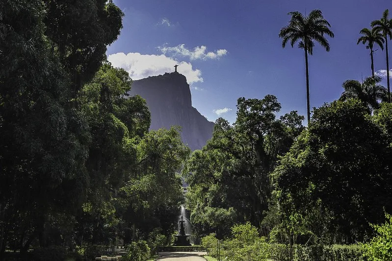 No Dia do Meio Ambiente, público terá trilha guiada com direito a plantio de árvores no Jardim Botânico do Rio