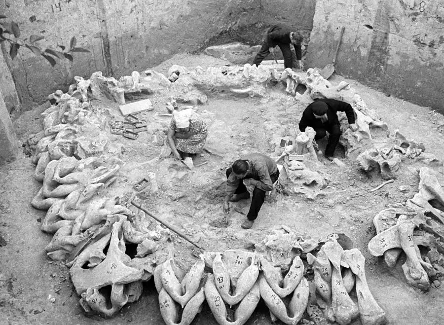 Escavação de cabana com ossos de Mamute em Mezhyrich, Ucrânia Fonte: Don’s Maps
