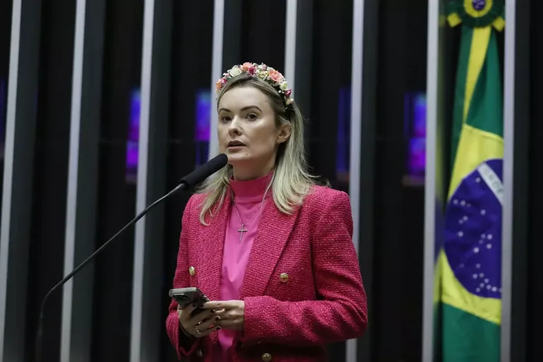 Deputada federal Júlia Zanatta (PL-SC). Foto: Câmara dos Deputados