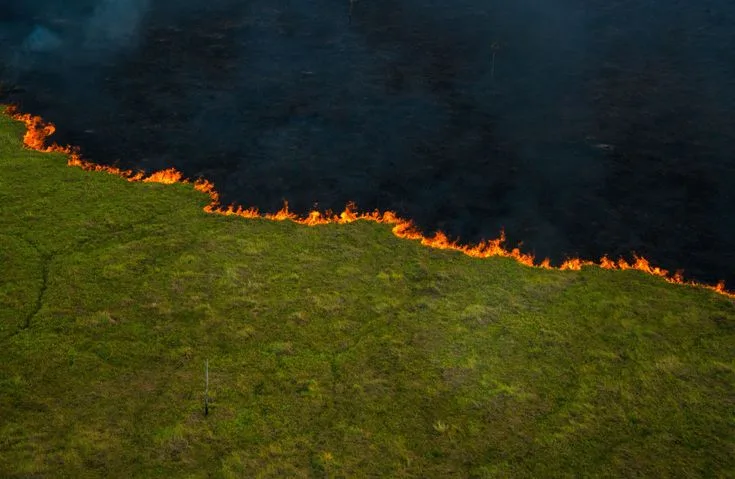 Pantanal: 96% dos focos foram extintos ou controlados, diz ministra | Diário Carioca