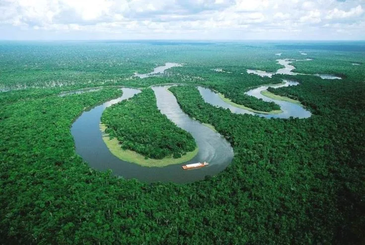 Criação do Museu das Amazônias é lançada em Belém | Diário Carioca