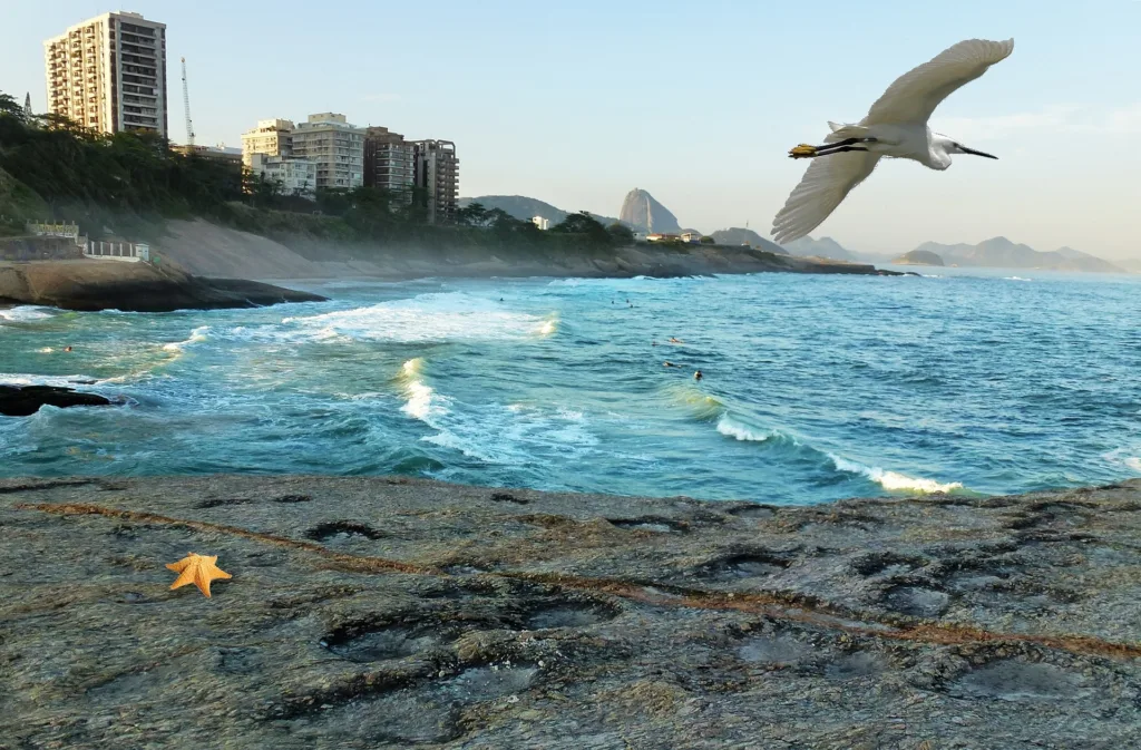 Rio de Janeiro