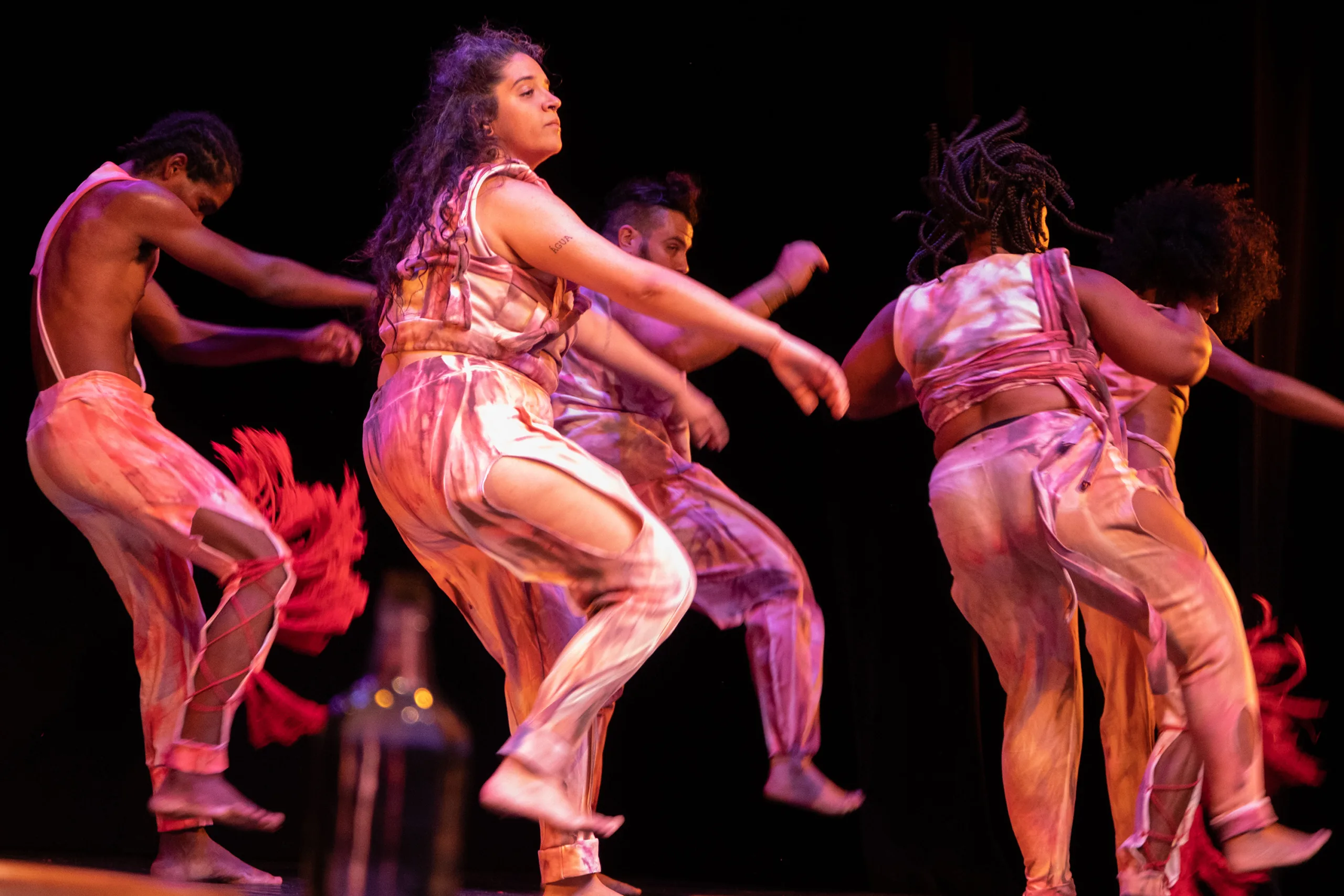 Espetáculos de dança 'Elegbará + Viveiro' fazem apresentações gratuitas na Tijuca | Diário Carioca