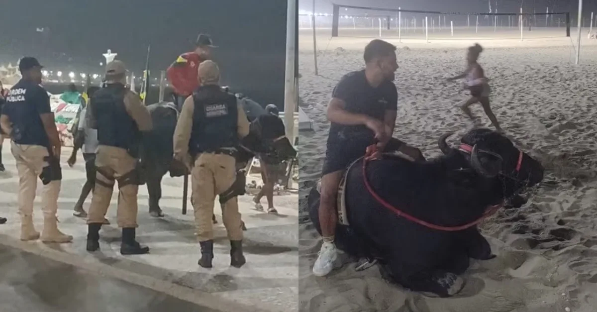 Homem surpreende banhistas em Copacabana ao passear com Búfalo