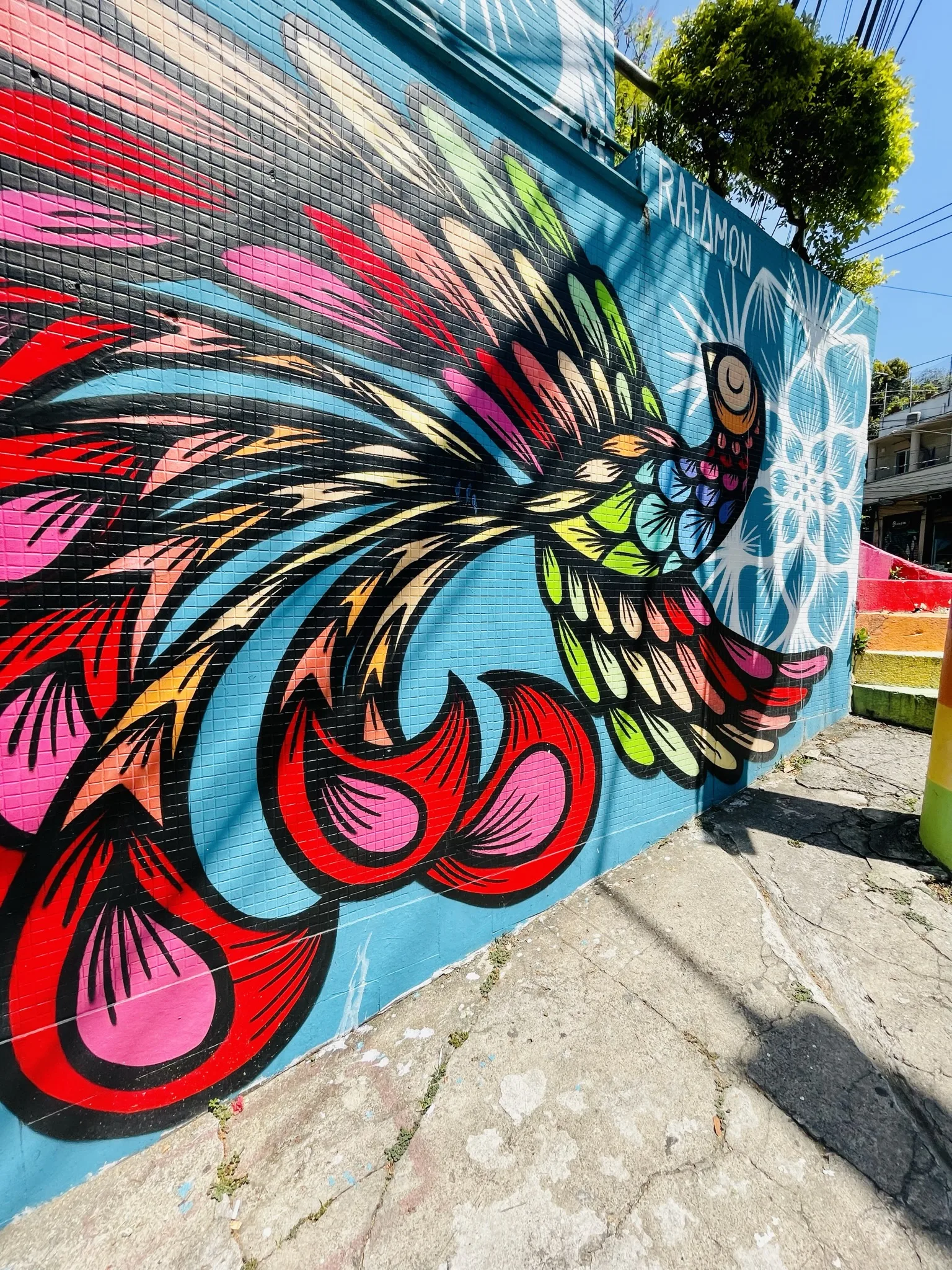 Festival de Arte Urbana transforma Santa Teresa em uma galeria a céu aberto