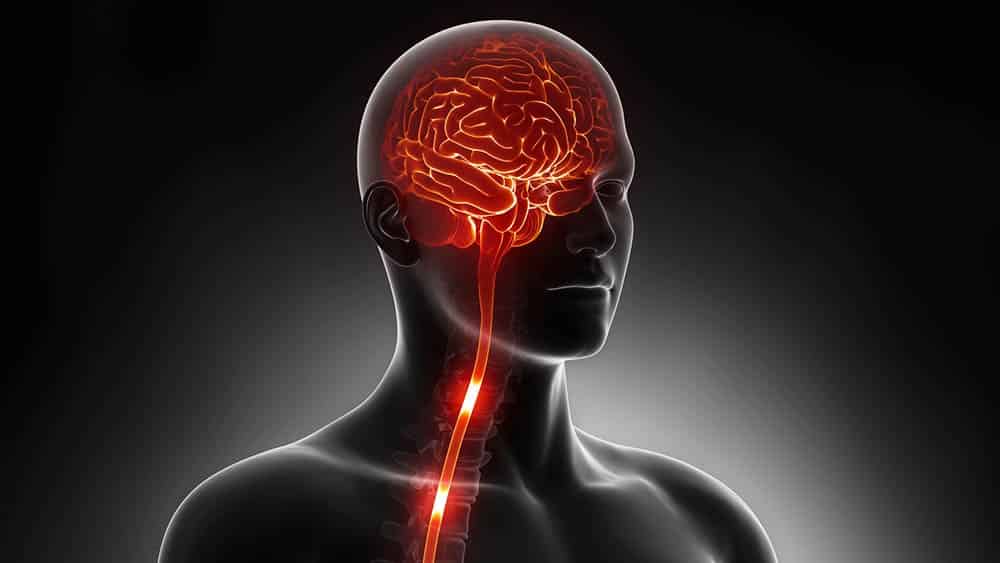 O que é e quais as causas da esclerose lateral amiotrófica?