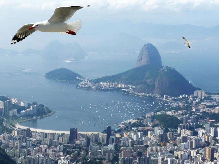 Rio de Janeiro - Imagem de Iva Castro por Pixabay