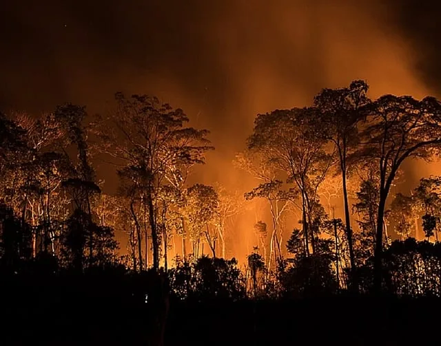 O chamado “Dia do Fogo” ocorreu em 2019, no governo Bolsonaro, quando ruralistas se uniram para atear fogo em áreas da Amazônia, no Pará - Bruno Kelly/Wikipedia Commons