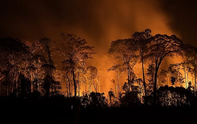 O chamado “Dia do Fogo” ocorreu em 2019, no governo Bolsonaro, quando ruralistas se uniram para atear fogo em áreas da Amazônia, no Pará - Bruno Kelly/Wikipedia Commons