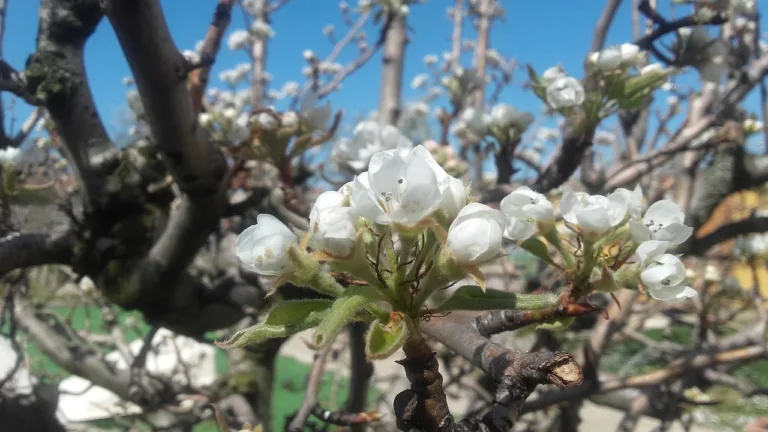 Primavera no Brasil será chuvosa, com temperaturas mais amenas que no ano passado mas ainda quente