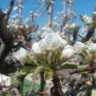 Primavera no Brasil será chuvosa, com temperaturas mais amenas que no ano passado mas ainda quente