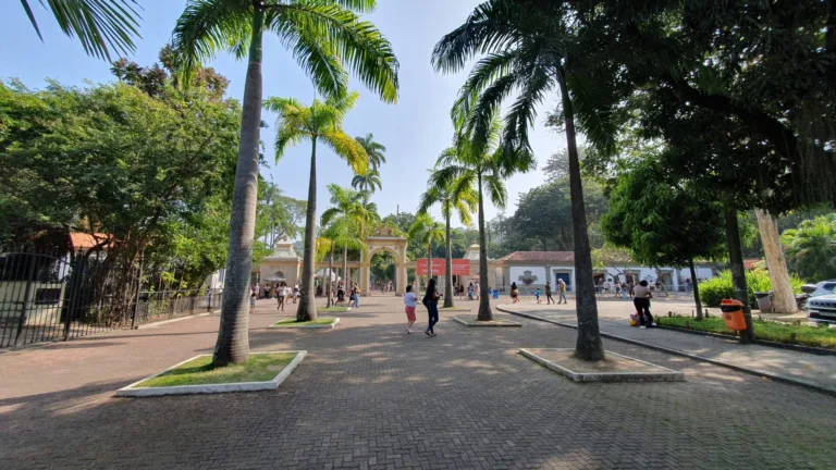 Rio de Janeiro - Foto: Reprodução COR