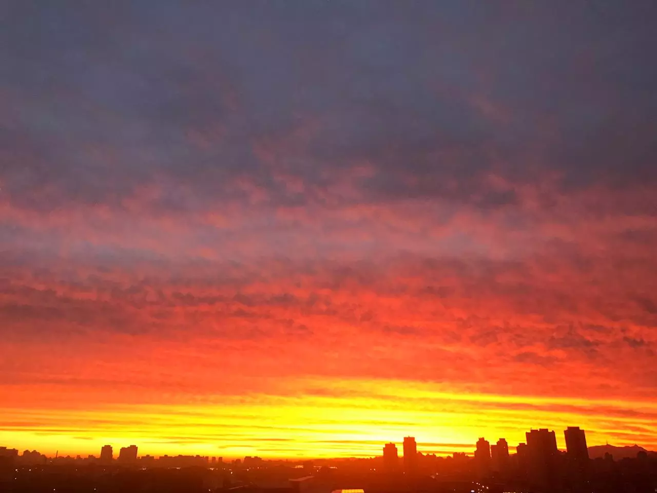 Céu laranja em São Paulo. Foto: reprodução
