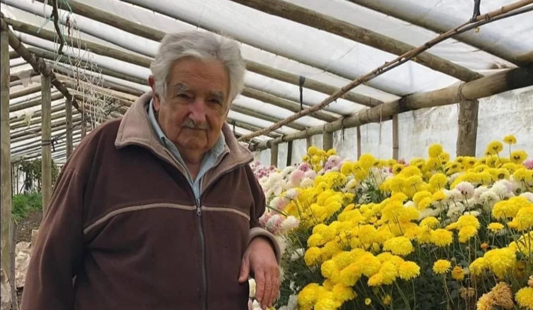 José Pepe Mujica