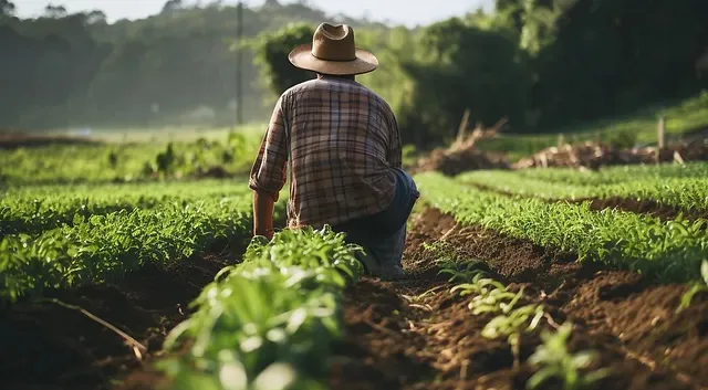 Foto: Agroviver/Reprodução