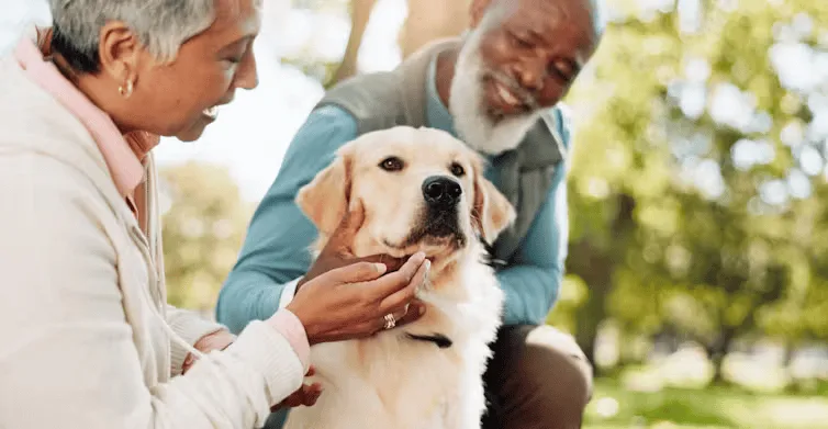 É amplamente reconhecido que os animais de estimação podem apoiar a saúde e o bem-estar dos seres humanos, mas os benefícios devem ser mútuos. Eles são seres sensíveis que merecem ser tratados com cuidado e respeito, e não como ferramentas para proporcionar o bem-estar dos humanos em detrimento do seu próprio. PeopleImages.com - Yuri A/Shutterstock