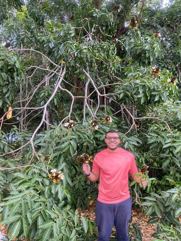 Pesquisador Guilherme Silva JBRJ