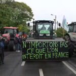 Protesto de fazendeiros franceses contra o acordo comercial entre a UE e o Mercosul, na semana do G20 no Brasil: nova legislação que pode dificultar a entrada na União Europeia de produtos agropecuários gerados sem respeito ao ambiente acaba de ter sua implantação adiada por mais um ano. Entenda os interesses que estão em jogo, e o que diz a Ciência sobre o assunto. AP Photo/Matthieu Mirville