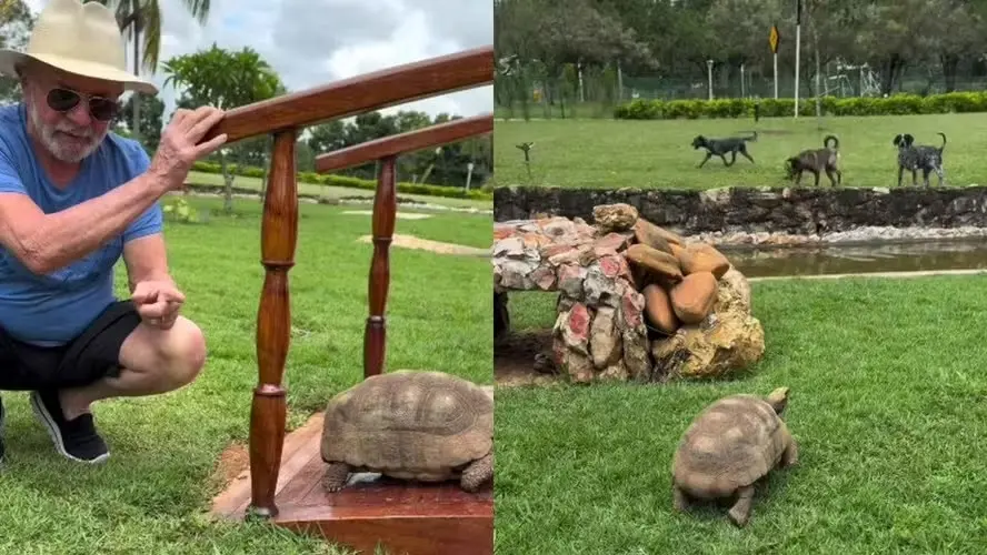 Lula grava vídeo com animais na residência do Torto. Foto: reprodução