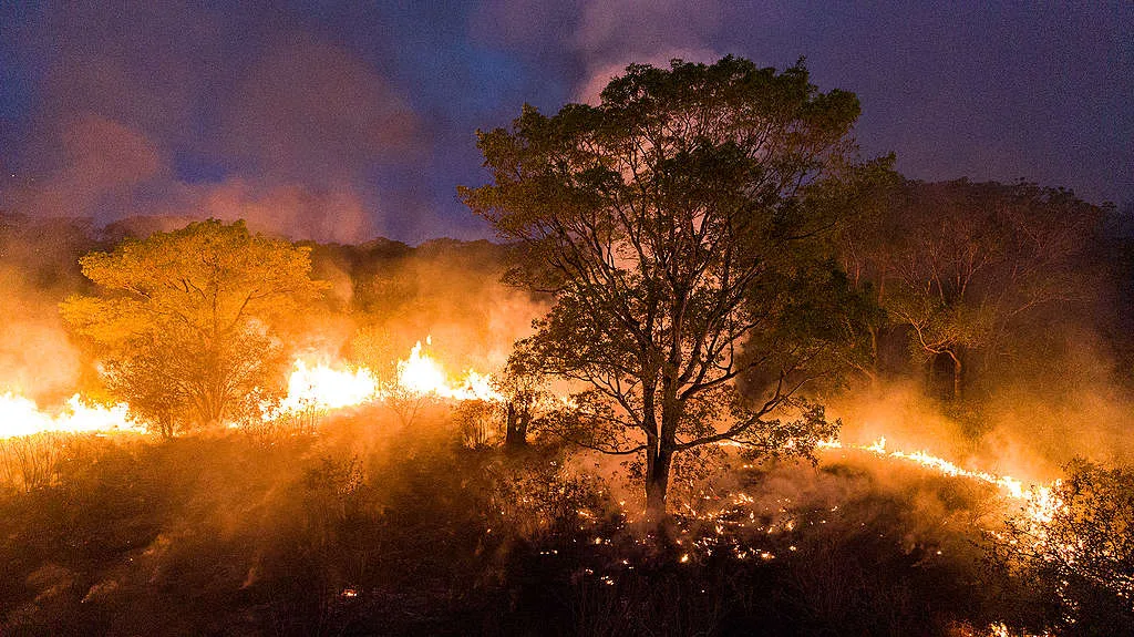 “No Mato Grosso, em uma região que abrange três biomas: Cerrado, Amazônia e Pantanal, os impactos tem gerado vários processos, como a erosão genética na biodiversidade, a perda de sementes”, enfatiza Fran. Foto: Iberê Périssé/Projeto Solos