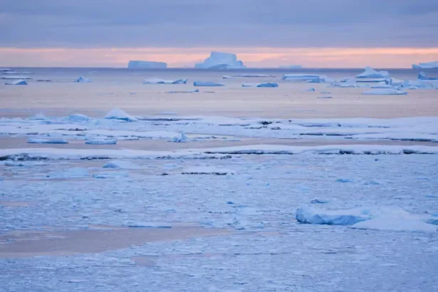 Continente mais remoto, inóspito e intocado do mundo não está livre da poluição marinha, e junto com os plásticos vêm colônias de bactérias que podem afetar a vida no oceano e fora dele, permitindo que patógenos potencialmente prejudiciais se espalhem. Oleksandr Matsibura/Shutterstock