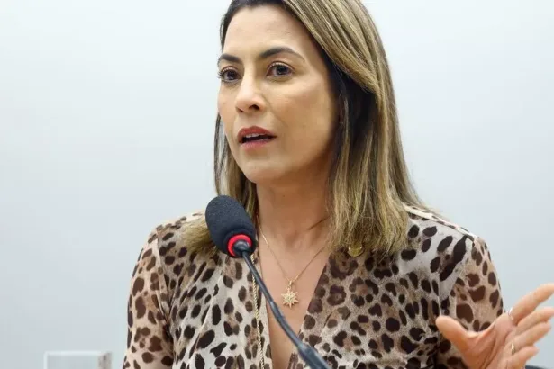 Soraya Thronicke (Foto: Vinicius Loures / Câmara dos Deputados)