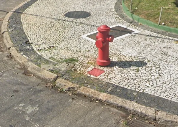 Uma das calçadas em mau estado, na Rua Almirante Gomes Pereira. Foto: Reprodução